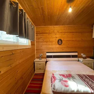 https://origjina.albaniahotels.org